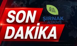 Otomobil bankete düştü 4 yaralı