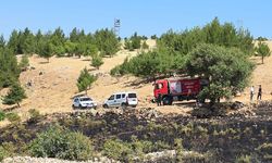 Yüksek gerilim hattına çarpan kuş yangına neden oldu