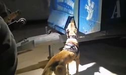 Traktörün kasasından uyarıcı madde çıktı