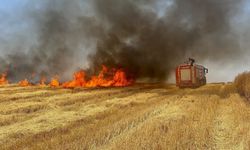 Silopi'de Dikkatsizlik az daha felakete dönüşüyordu!