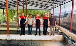 Şırnak’ta Alabalık Üretimine Güçlü Destek
