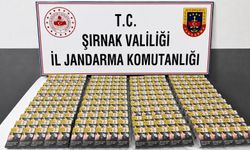Şırnak'ta JASAT'tan Operasyon, 39 Firari Yakalandı