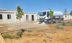 Silopi'de can dostlar için barınakta hijyen çalışması