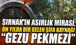 Şırnak'ta Gezu Bereketi Geleneksel Pekmez Üretimi Başladı