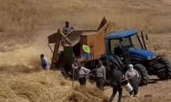 Silopi'de Köyler Yeniden Canlanıyor