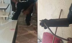 Eve giren yılan korku ve paniğe neden oldu