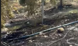 Şırnak'ta Anız Yangını, 3 İtfaiye Ekibi Birden Müdahale Etti