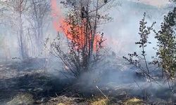 Peş peşe çıkan yangınlar paniğe neden oldu