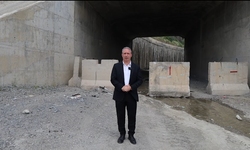 Vekil İrmez'den Şırnak-Van Yolu Tepkisi