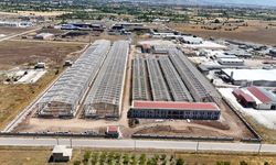 100 milyon dolarlık dev sanayi yatırımı