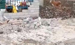 Şiddetli rüzgarda duvar yıkıldı, ahır çatısı çöktü