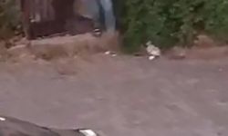 Sokak ortasında silahlı kavga: 3 yaralı