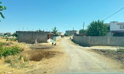 Kedinin ısırdığı çocuk entübe edildi