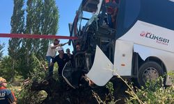 Yolcu otobüsü ağaca çıktı: 2 yaralı