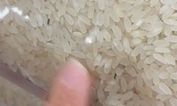 Paketli bir pirinç içerisinde böcekler görüntülendi