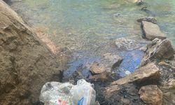 Piknik alanına bırakılan çöpler vatandaşın tepkisine yol açtı