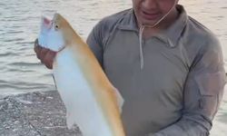Baraj Gölü’nde sarı renkli albino alabalık yakalandı