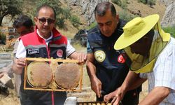 Bal hasadı başladı bin 500 ton rekolte bekleniyor