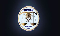 Şırnak Barosu’ndan taciz olayına ilişkin açıklama