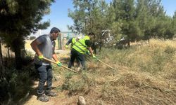 Başverimli’de mezarlıklarda kapsamlı temizlik ve çevre düzenlemesi