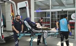 Eşi tarafından darp edilen kadın yaralandı