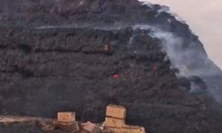 Binlerce dönüm arazi ve saman balyası kül oldu
