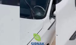 Siverek’te dehşet anları!