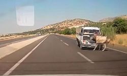 Kamyonetin çarptığı eşek metrelerce havaya fırladı