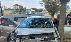 Otomobil ağaca çarptı 4 yaralı