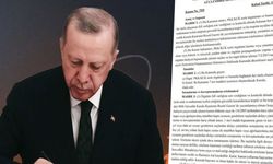 Resmi Gazete’de çıkan Çerçeve Yasa’da neler var?