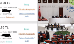 DEM Partili İrmez Şırnak'taki Kesintileri Meclise Taşıdı