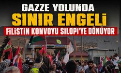 Sınırda durdurulan 310 aktivist yarın Silopi’ye dönüyor