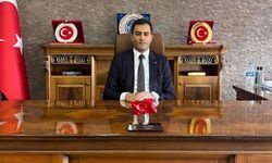 Şırnaklı Kaymakam Demirel, Delice’de Görevine Başladı