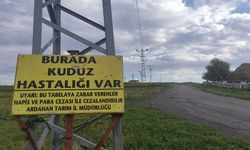 Kuduz nedeniyle mahalleye giriş çıkışlar yasaklandı