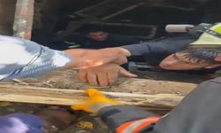 Bahçede dolaşırken üzeri kapalı kuyuya düştü
