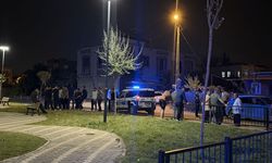 Parkta iki grup arasında kavga