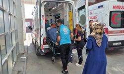 İncir toplarken ağaçtan düşen kişi yaralandı
