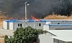 Kopan elektrik telleri yangına neden oldu