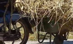 Motosiklete el arabası bağlayarak üzerinde ot taşıdı