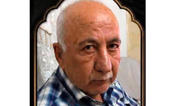 Cizre bir değerini daha kaybetti