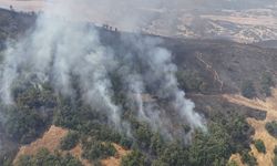 Orman yangınına havadan ve karadan müdahale başladı