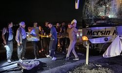 Yolcu otobüsleri çarpıştı 13 yaralı