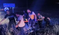 Pikap tarlaya uçtu 2 kişi yaralandı