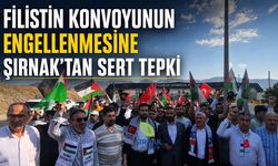 Filistin konvoyunun engellenmesine Şırnak'tan sert tepki