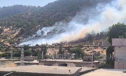 Orman yangını büyümeden kontrol altına alındı