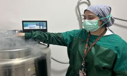Tüp bebek tedavisinde ilk gebelikler başladı