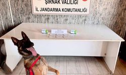 Şırnak’ta milyonluk operasyon; 111 şüpheli yakalandı