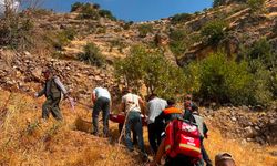 Şırnak’ta Ağaçtan Düşen Vatandaşa Ekipler Ulaştı