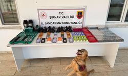 Şırnak’ta kaçakçılığa darbe, 26 milyon TL’lik operasyon