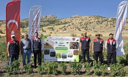 TAKE Projesiyle yetiştirilen ürünlerde hasat heyecanı